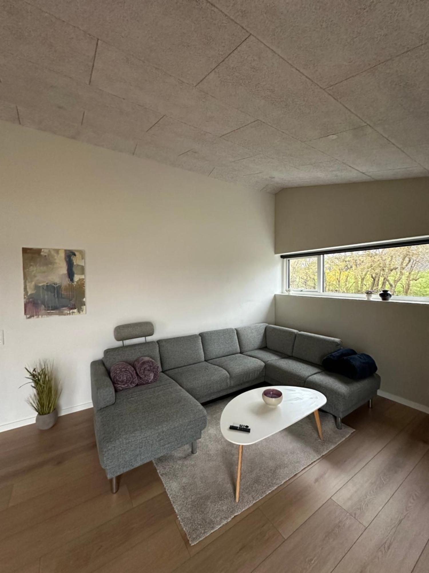 Moderne Nybygget Villa Холстебро Екстериор снимка